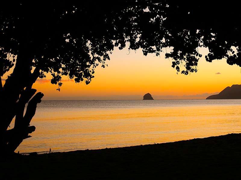 Marine Hotel Diamant Le Diamant Dış mekan fotoğraf